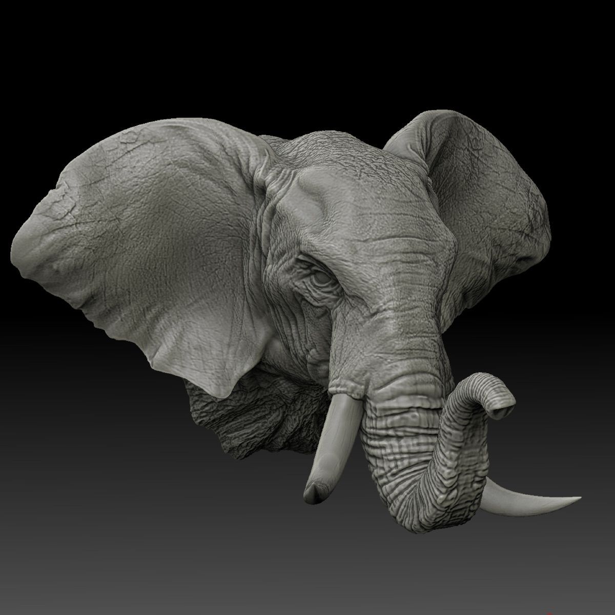 Elefant Wandschmuck Mittel (ca. 50cm) -  3D-Druck -Modell
