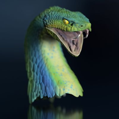 Wild animals, reptiles, fantasy, and amphibians - 3D file models
