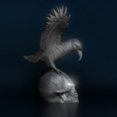 ​Skull with Eagle Bird Eyes Open, Hollow Inside