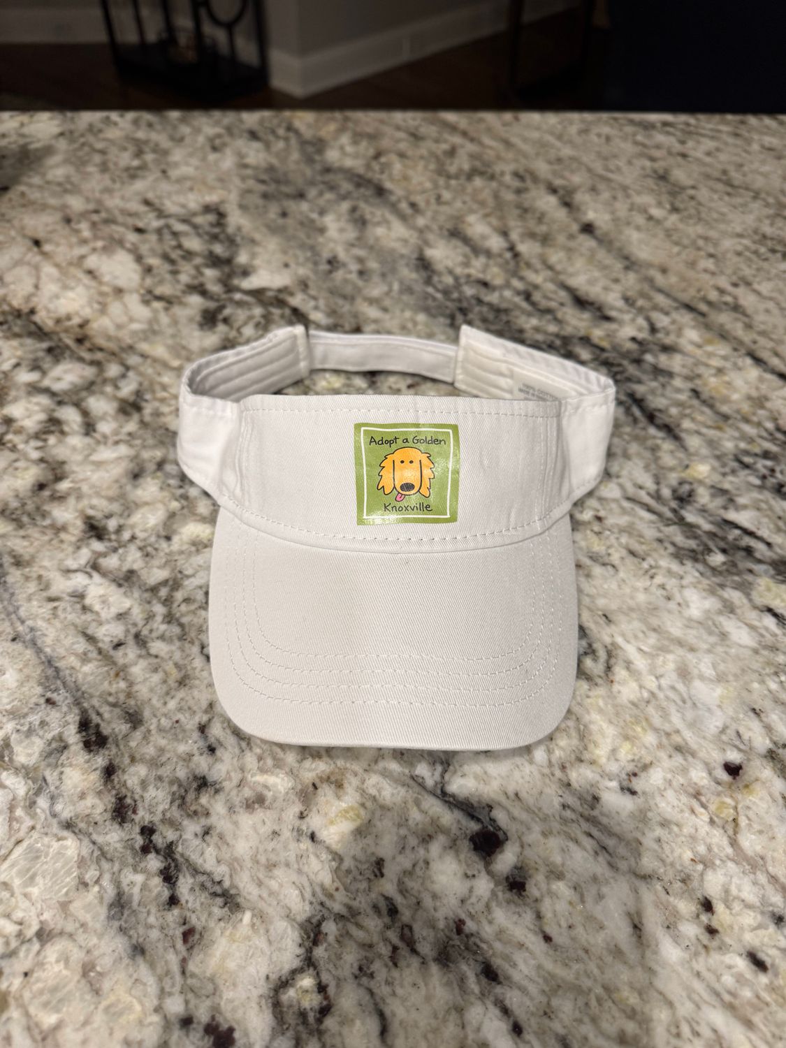 --Logo Visor