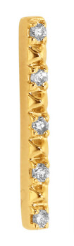 SJE 2021495