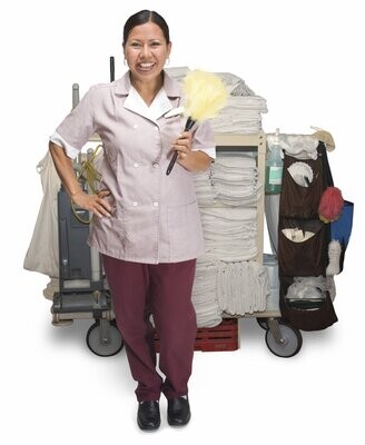 Hotel Maid services
