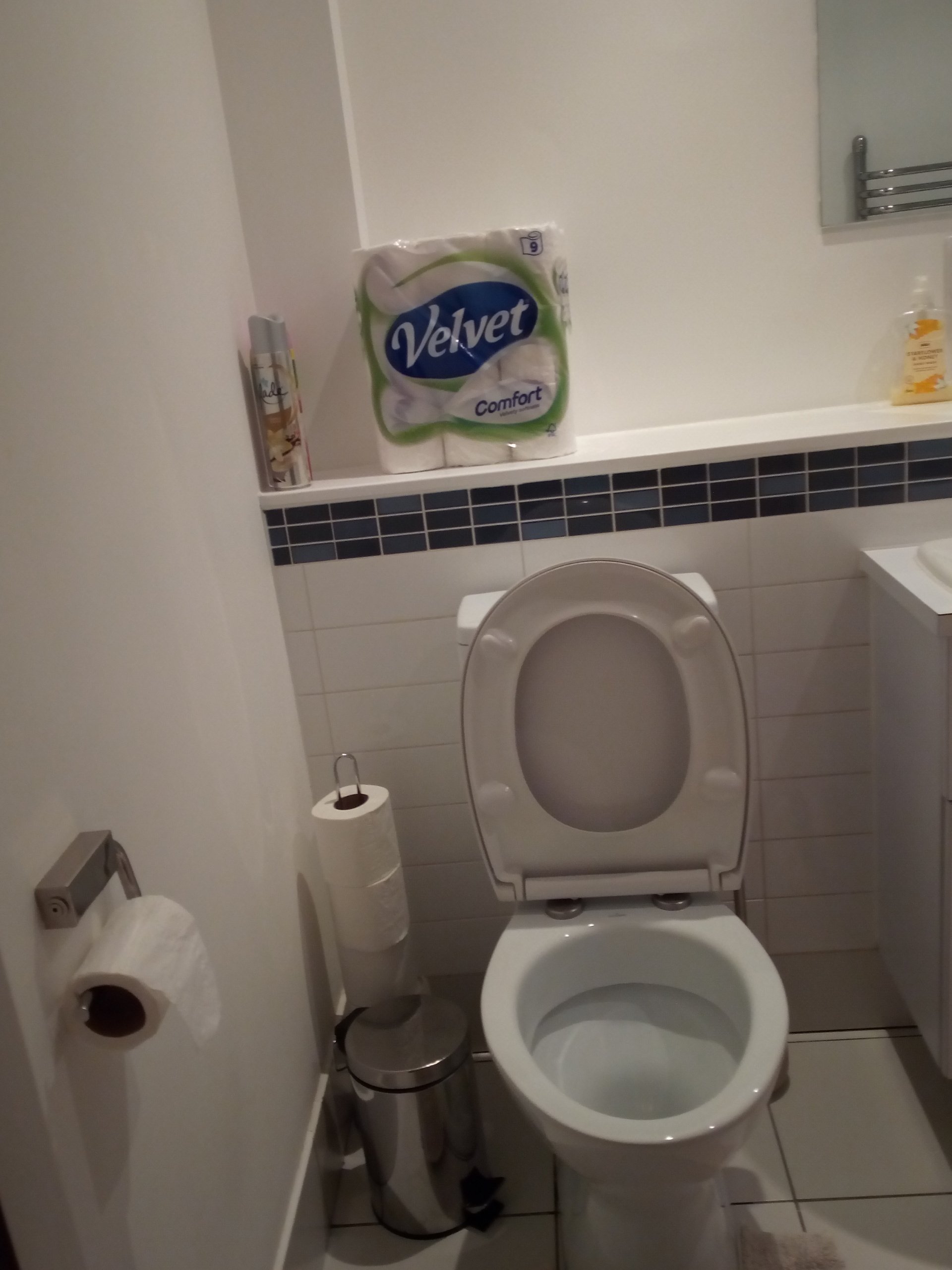 Regular  Monthly Clean