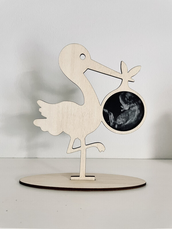 Storch Ultraschallbild