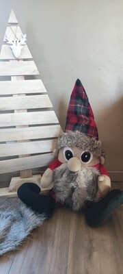 Le Gnome et la Gnomette