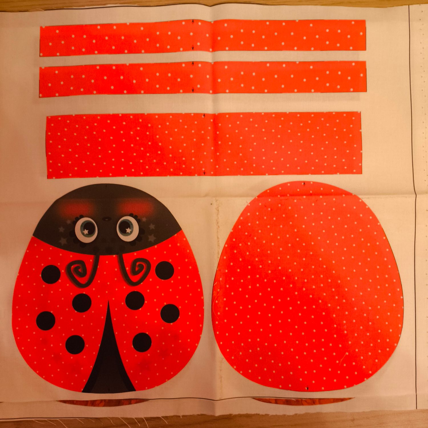 Coupon MINI SAC coccinelle