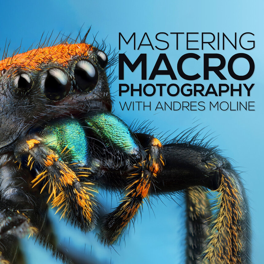 Fstoppers - Mastering Macro Photography with Andres Moline