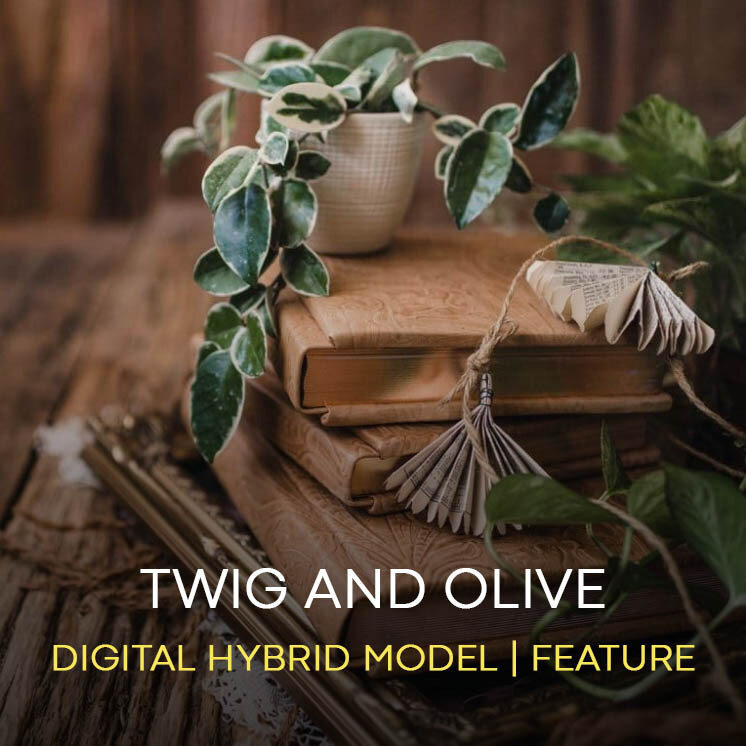 Twig and Olive Photography - Digital Hybrid Model | Feature