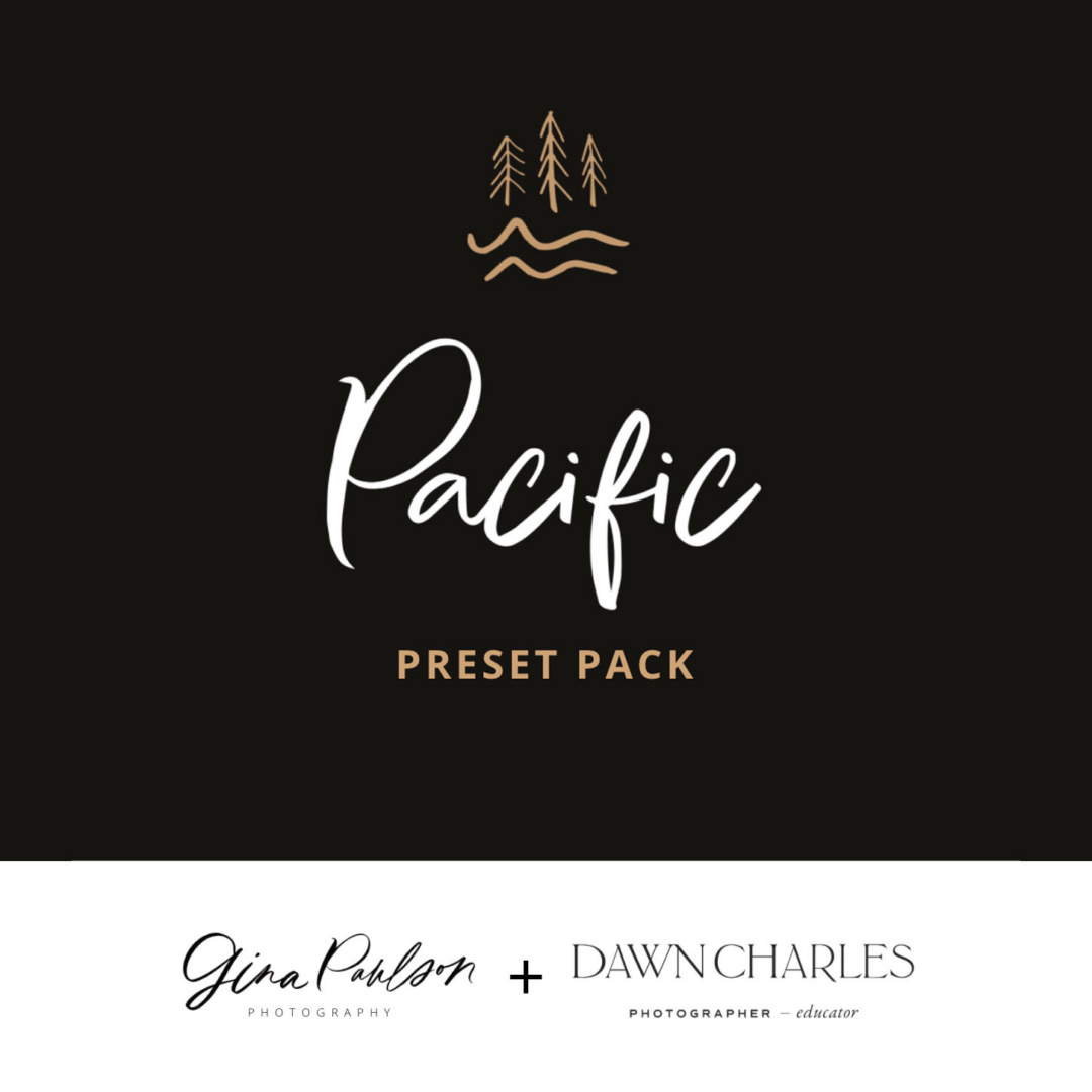 Dawn Charles x Gina Paulson 'Pacific Pack' Presets