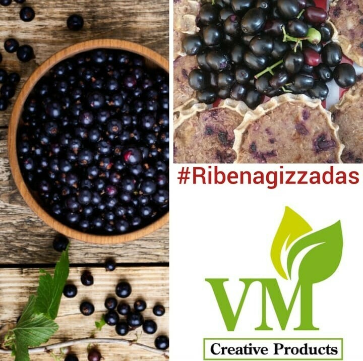 Ribena Gizzadas