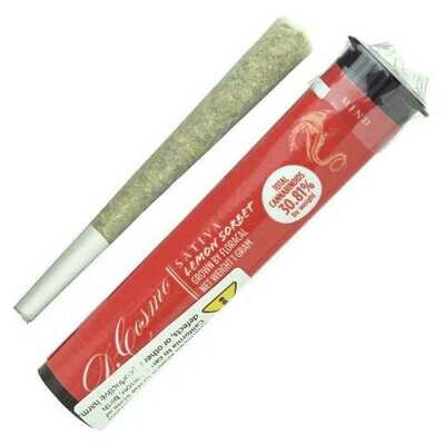 Lemon Sorbet Pre Roll (1 Pack Of 30)