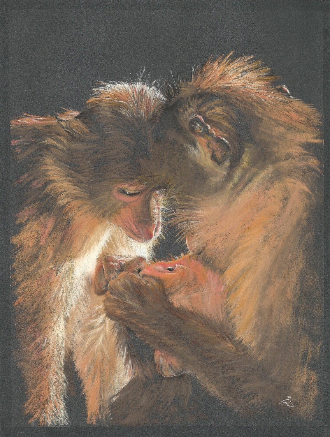 'Animal Love'