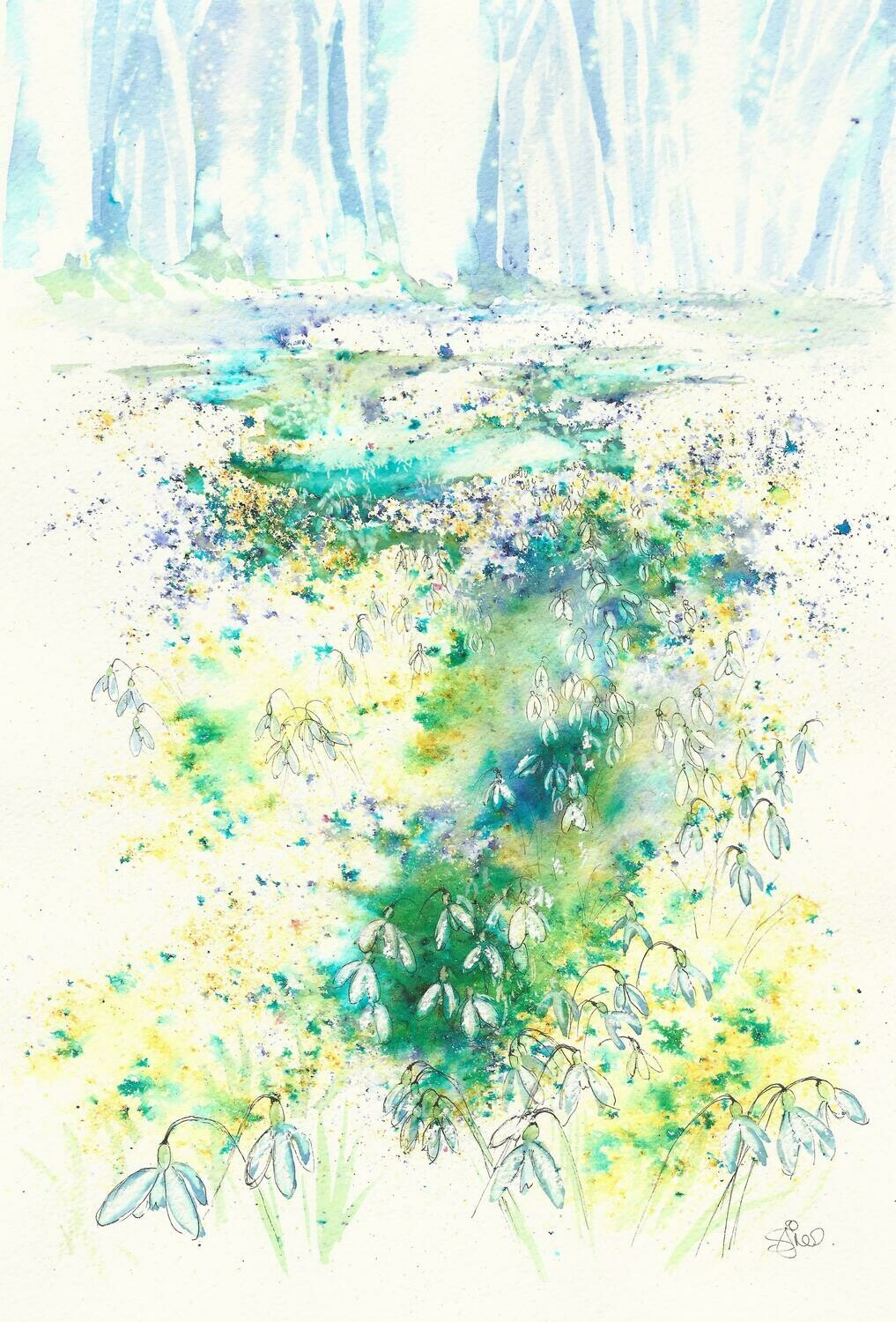 'Snowdrops in woodland'