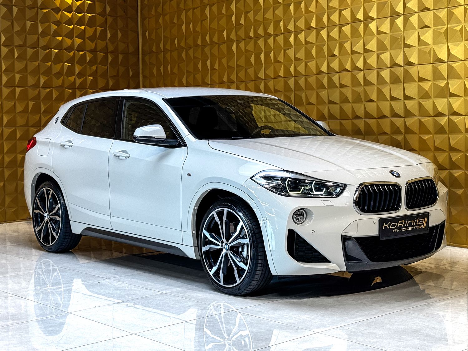 BMW X2 xDrive20d M SPORT AUT