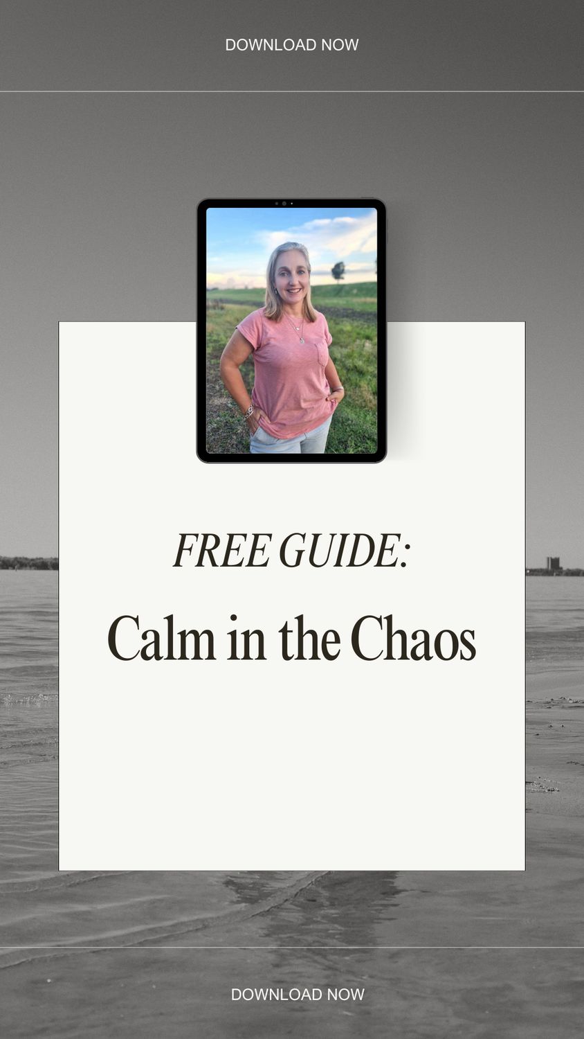 Free - Calm the Chaos PDF