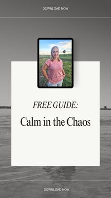 Free - Calm the Chaos PDF