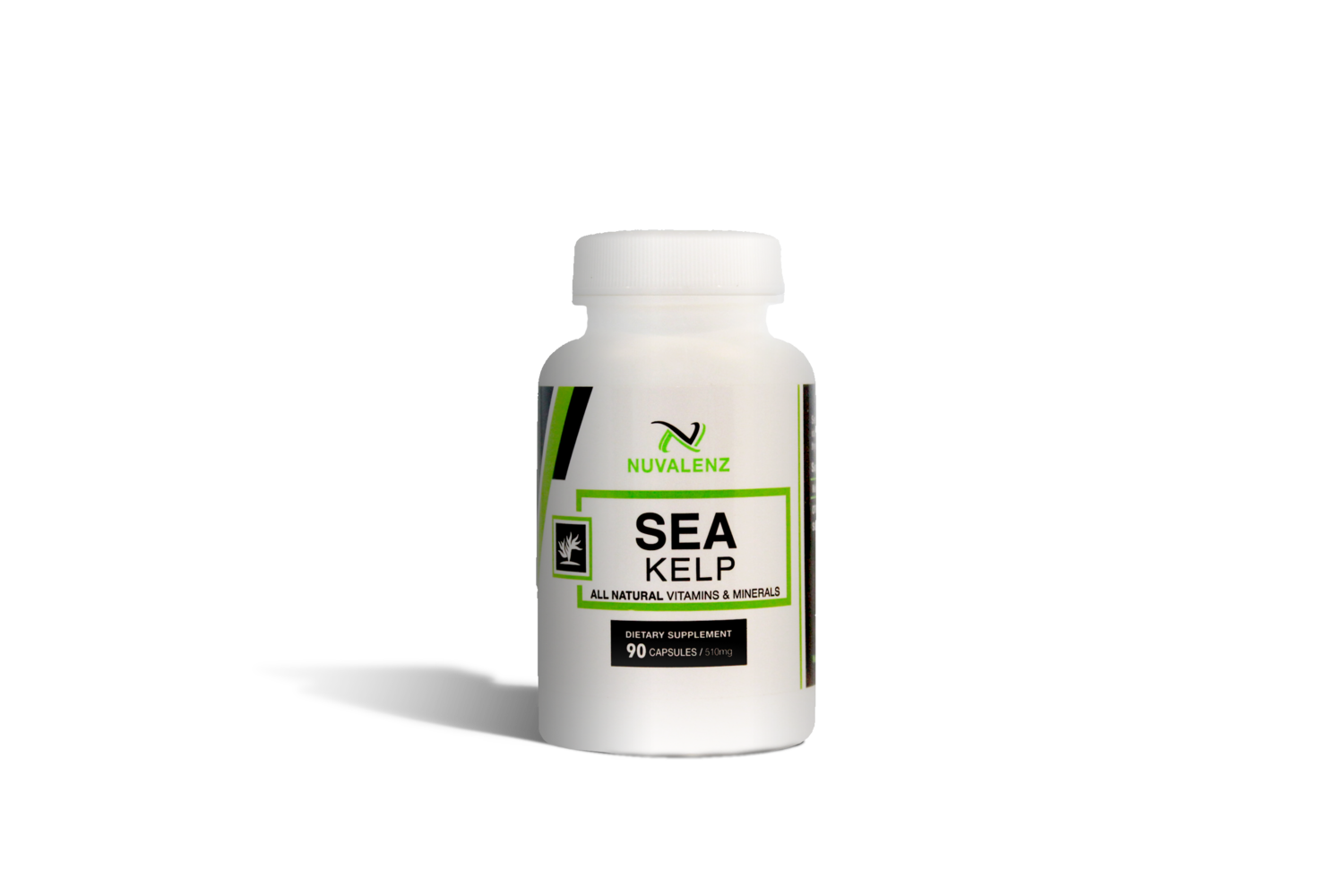 Sea Kelp