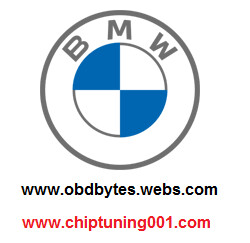 BMW E-Sys 3.27 with Premium Launcher VMware.
PSZD 63 lite included for coding.