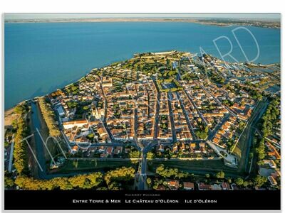 Entre Terre & Mer Le Château d'Oléron