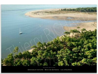 Grandeur nature baie de Gatseau