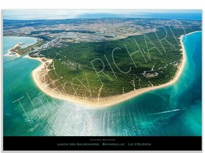 Lagon des saumonards