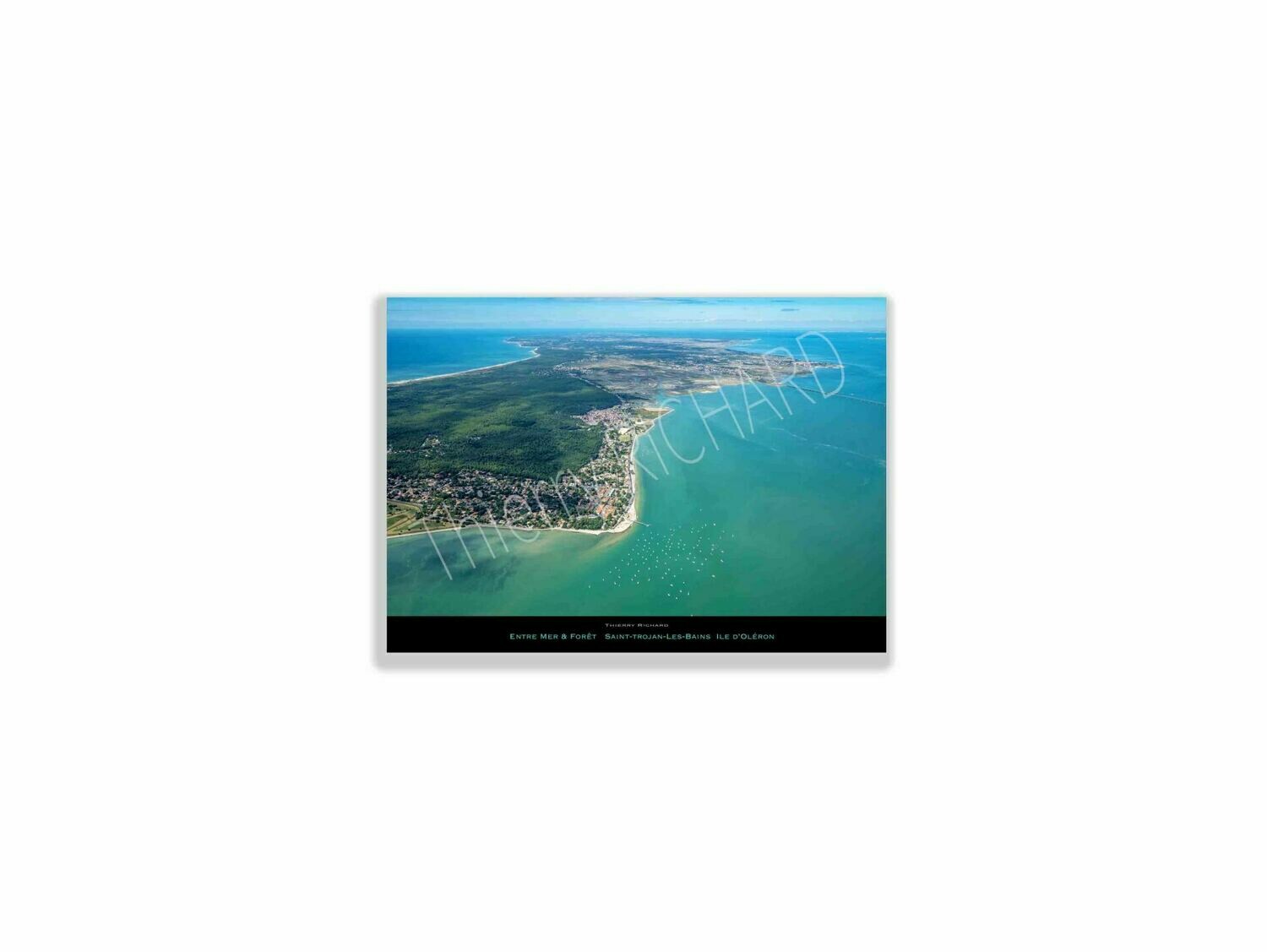 Entre mer & forêt St Trojan les Bains, Dimensions photo: Tirage 30x40 cm