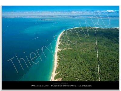 Paradise Island plage des saumonards