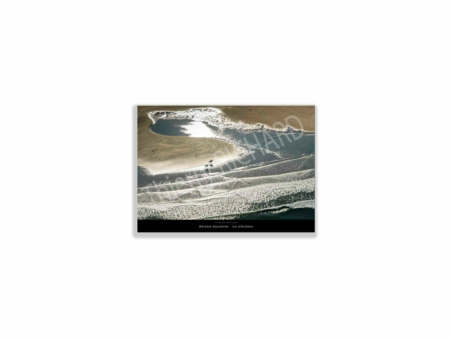 Reverie equestre, Dimensions photo: Tirage 30x40 cm