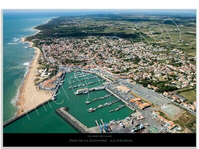 Port de la Cotinière