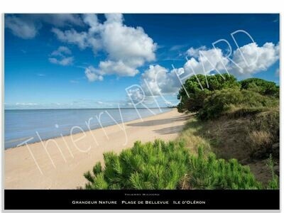 Grandeur nature plage de Bellevue