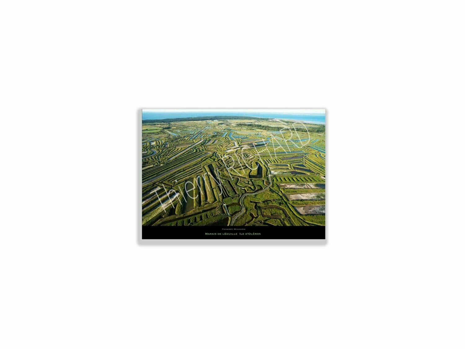 Marais de l’Eguille, Dimensions photo: Tirage 30x40 cm