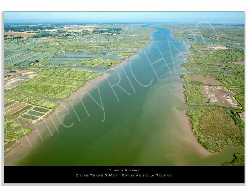 Entre Terre & Mer Estuaire de la seudre