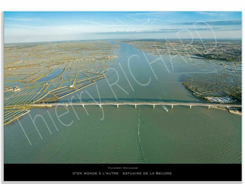d'un monde à l'autre estuaire de la Seudre