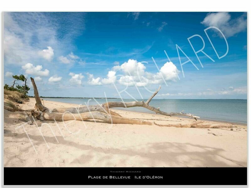 Plage de Bellevue