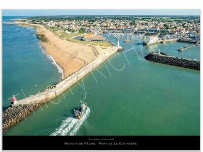 Retour de pêche port de la Cotinière