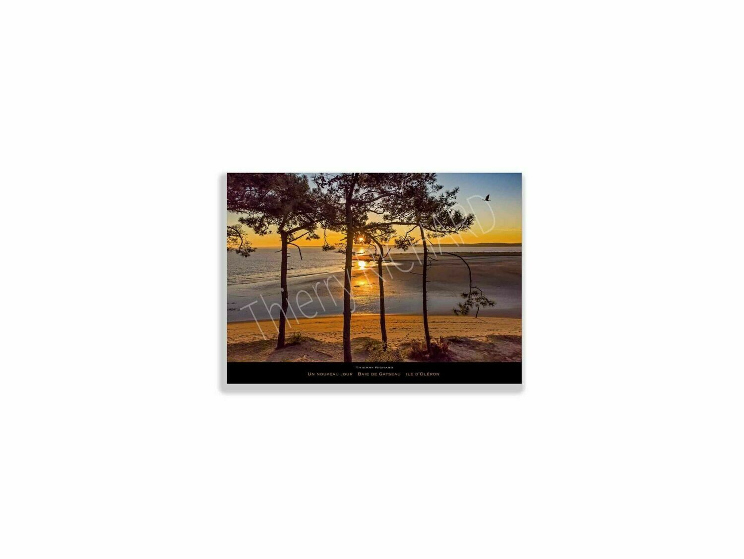 Un nouveau jour Baie de Gatseau, Dimensions photo: Tirage 30x40 cm