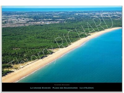 La Grande Evasion Plage des Saumonards