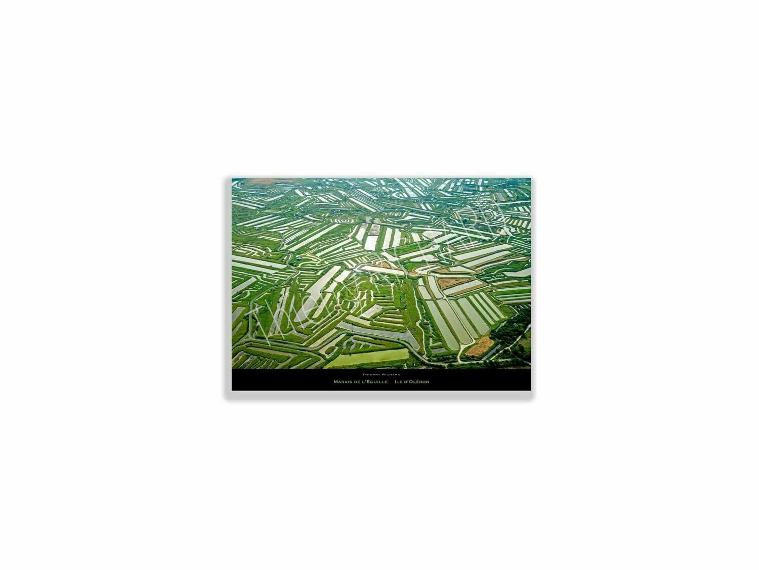 Marais de l'Eguille, Dimensions photo: Tirage 30x40 cm