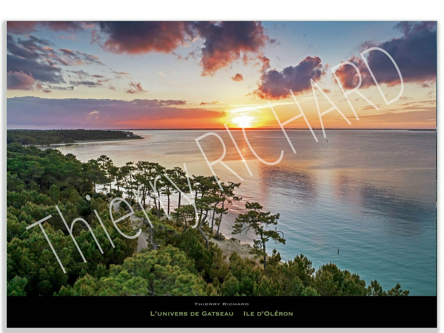 l'univers de Gatseau