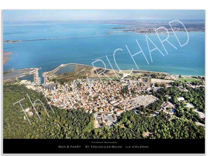 Mer & Forêt  St-Trojan-Les-Bains