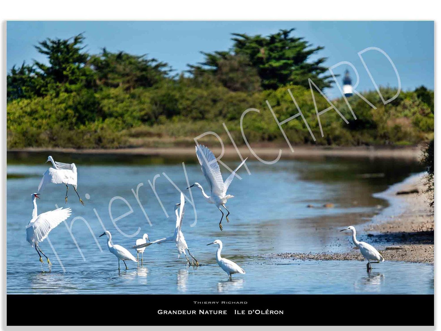 Grandeur Nature #1