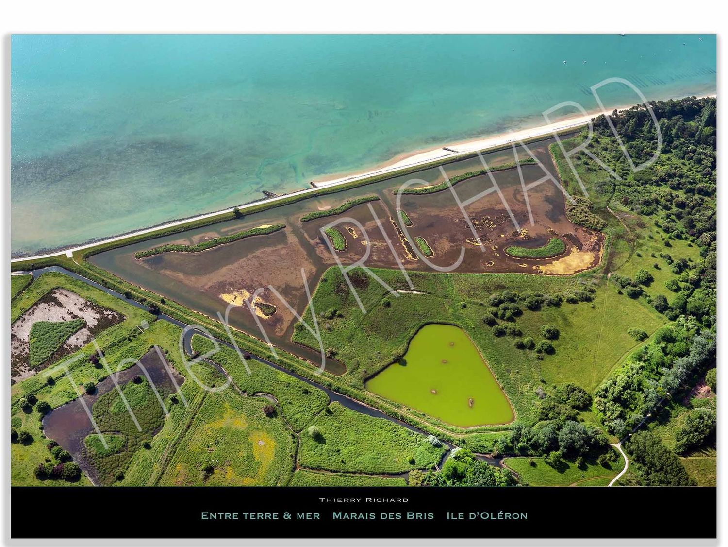 entre terre & mer Marais des Bris
