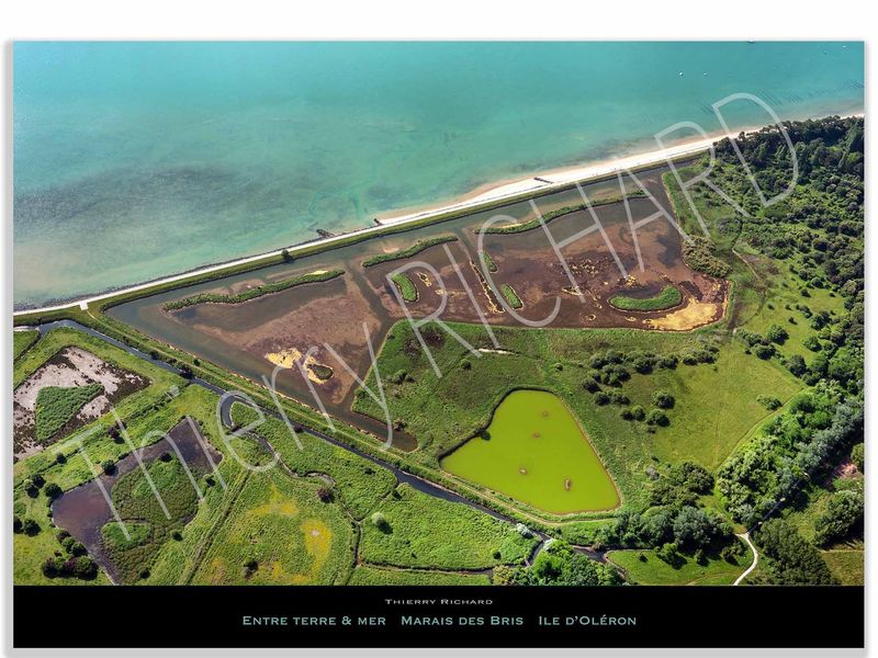 entre terre & mer Marais des Bris