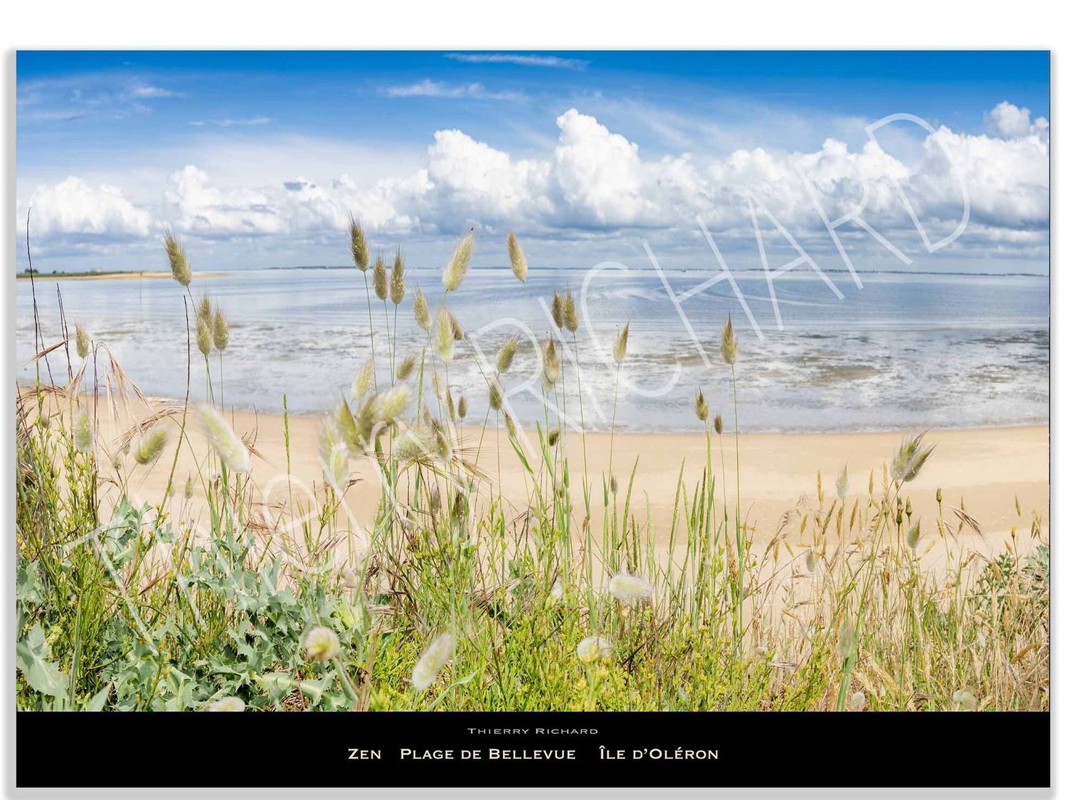 Zen plage de Bellevue