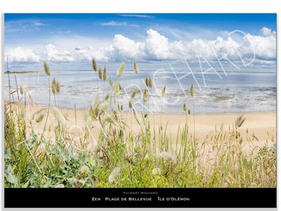 Zen plage de Bellevue