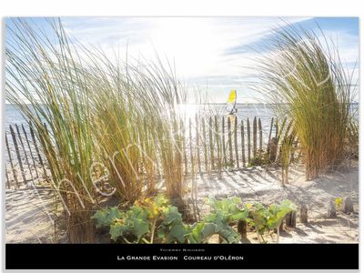 La grande évasion Coureau d'Oléron La grande évasion Coureau d'Oléron
