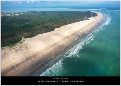 La côte sauvage St Trojan La côte sauvage St Trojan