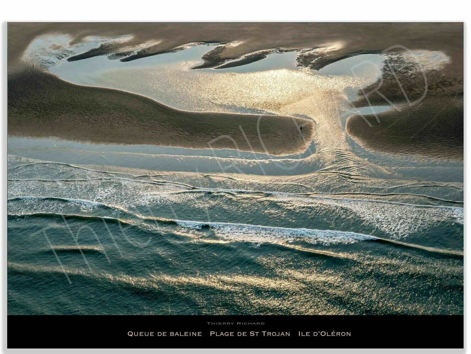 Queue de Baleine Plage de St Trojan