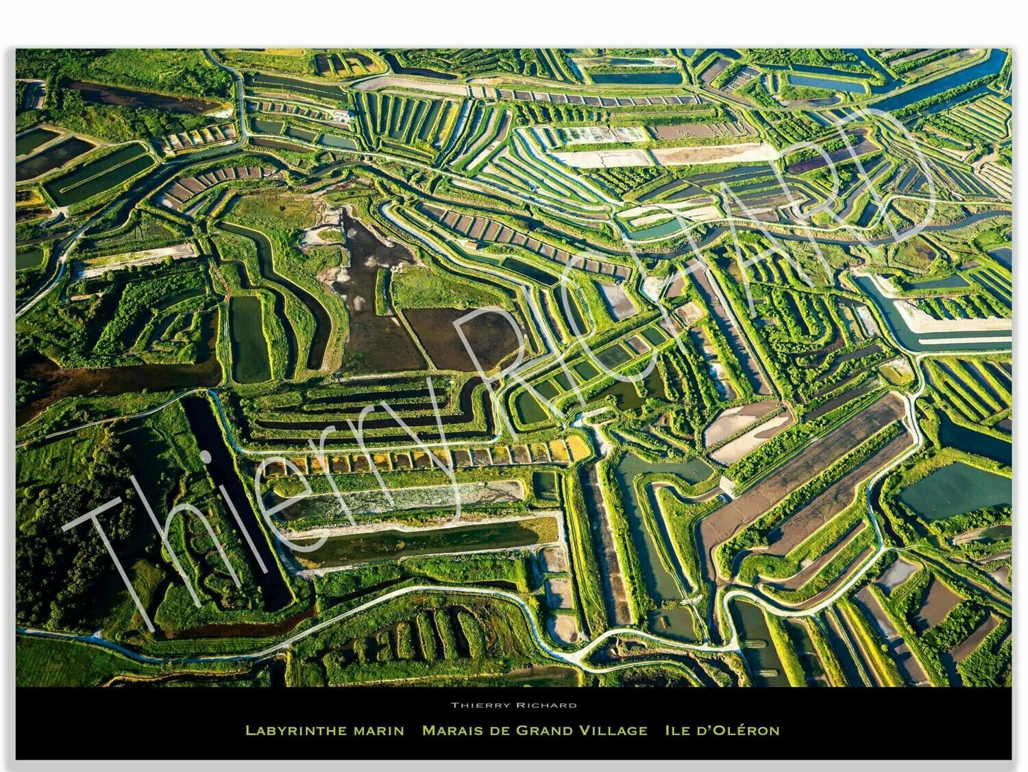 Marais de Grand Village