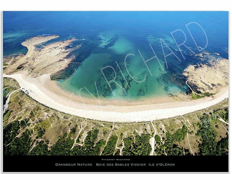Grandeur nature baie des sables vignier